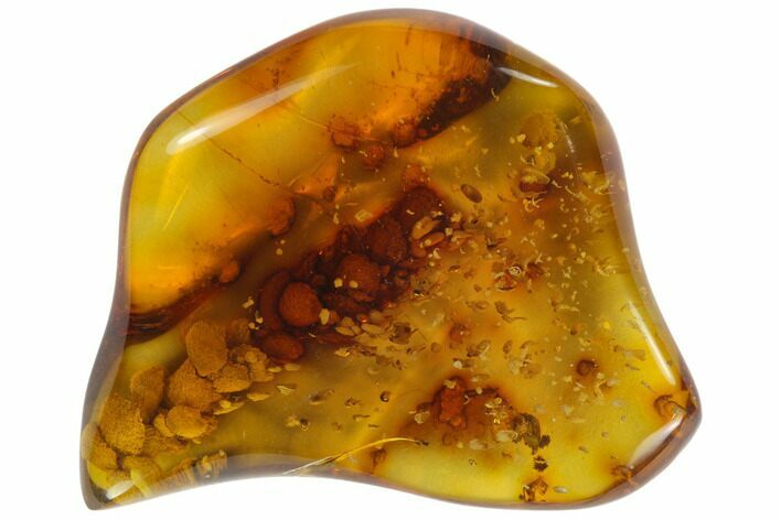 Polished Chiapas Amber ( g) - Mexico #114798